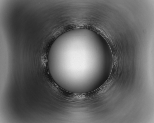 X0000096200719200802081540