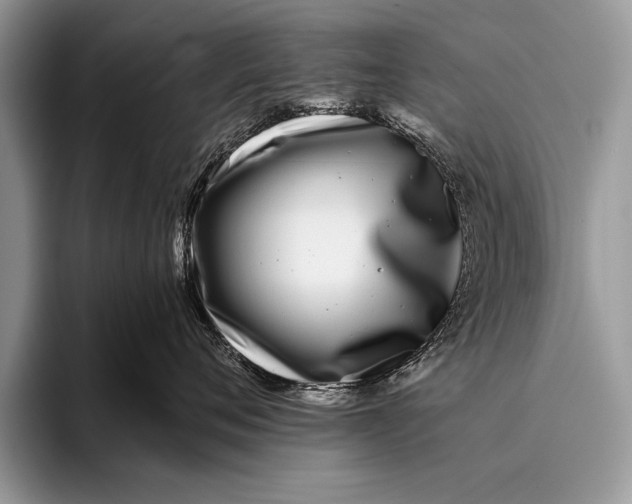 X0000096200720200802081540