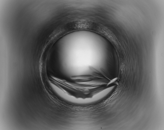 X0000096200722200802081539