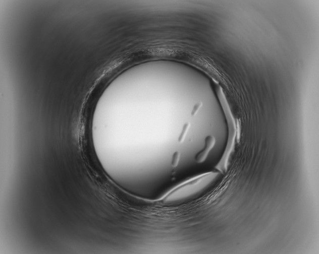 X0000096200723200802081539