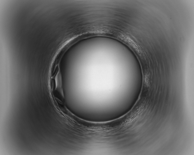 X0000096200724200802081539