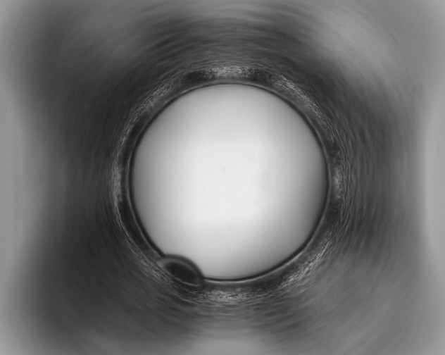 X0000096200725200802081539