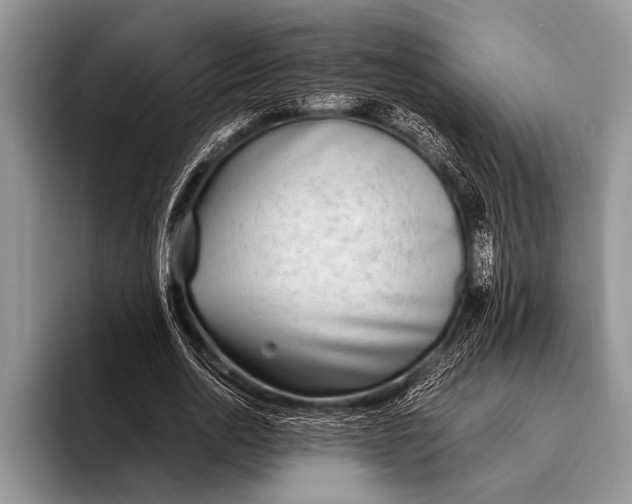 X0000096200726200802081539