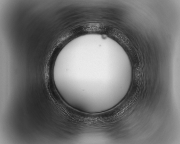 X0000096200727200802081539