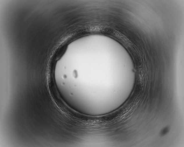 X0000096200728200802081539