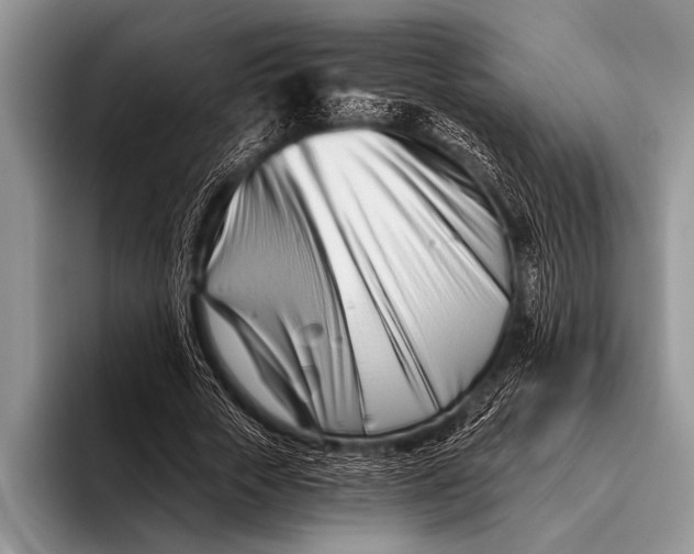 X0000096200729200802081539