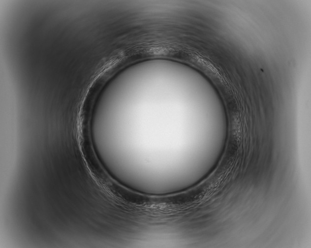 X0000096200730200802081539