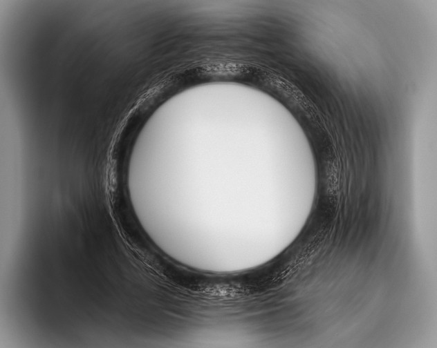 X0000096200731200802081539