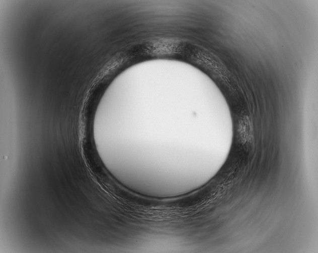 X0000096200732200802081539