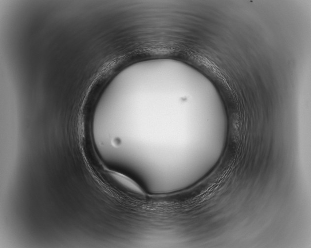 X0000096200734200802081540