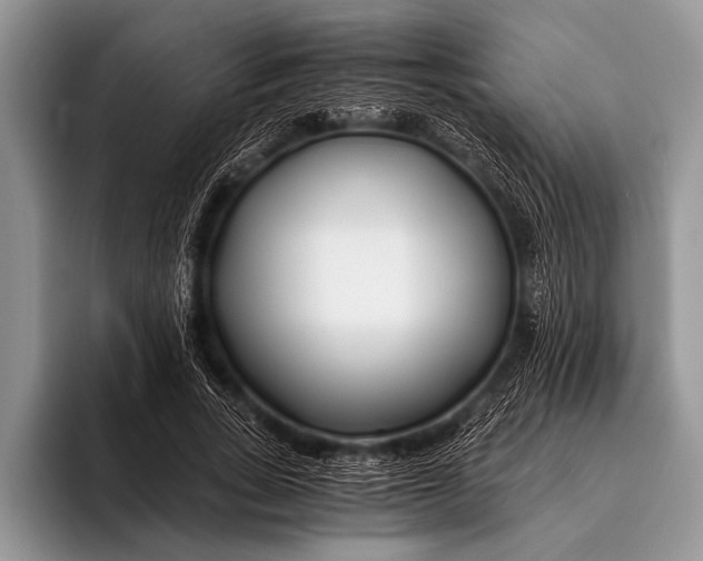 X0000096200735200802081540