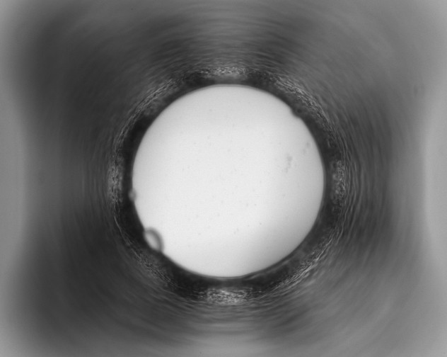 X0000096200739200802081540