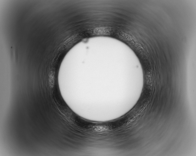 X0000096200741200802081540