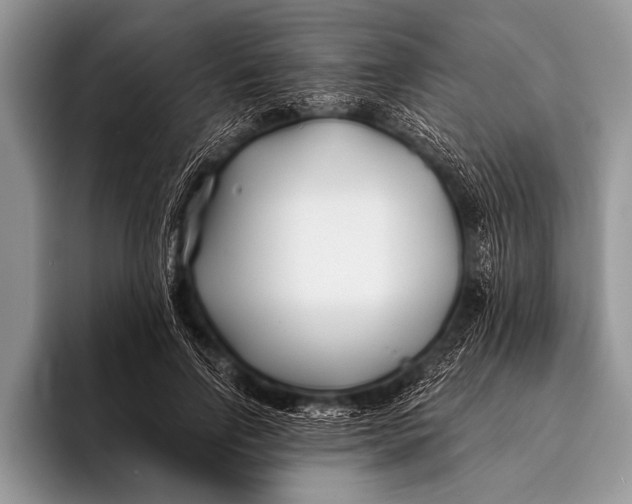 X0000096200742200802081540