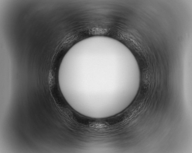 X0000096200743200802081540