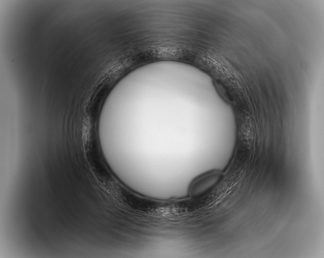 X0000096200744200802081540