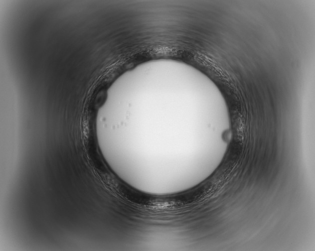 X0000096200746200802081540