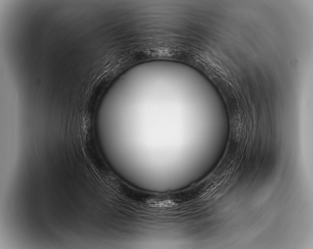 X0000096200747200802081540