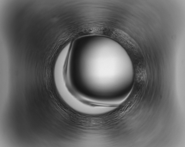 X0000096200748200802081540