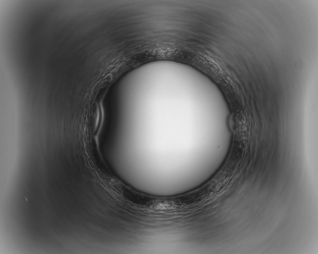 X0000096200750200802081540