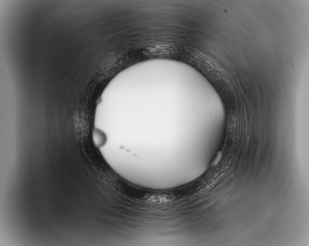 X0000096200751200802081540