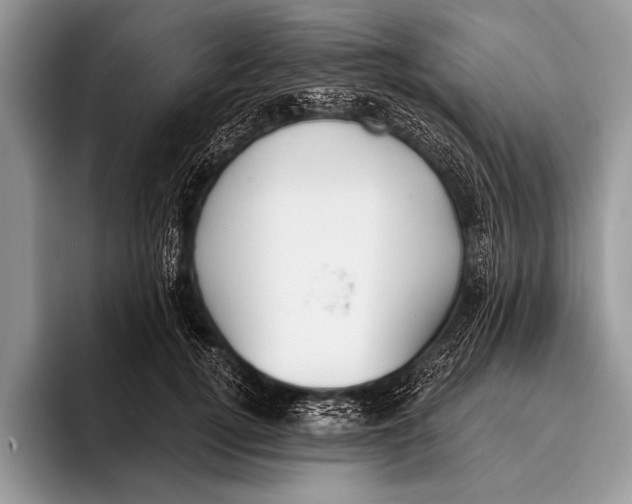 X0000096200752200802081540