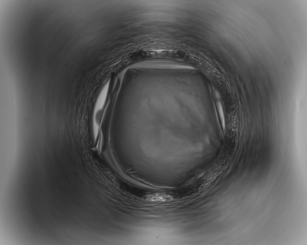 X0000096200754200802081540