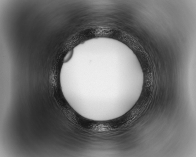 X0000096200755200802081540