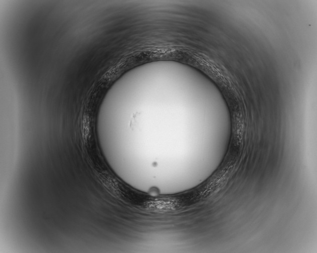 X0000096200758200802081540