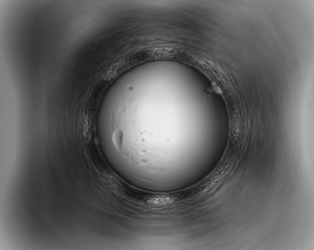 X0000096200759200802081540