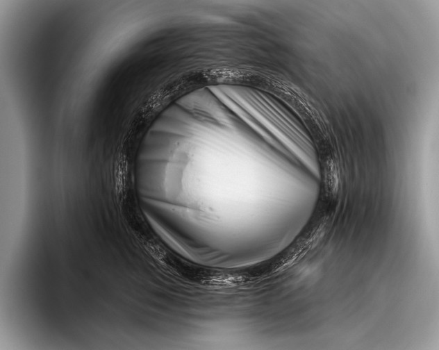 X0000096200760200802081540