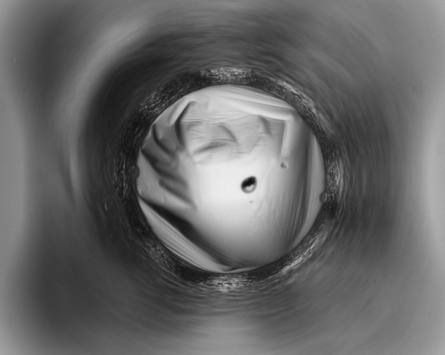 X0000096200762200802081540