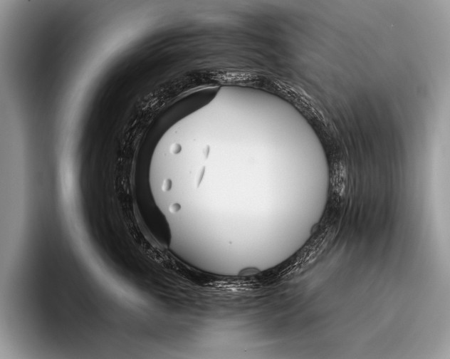 X0000096200763200802081540