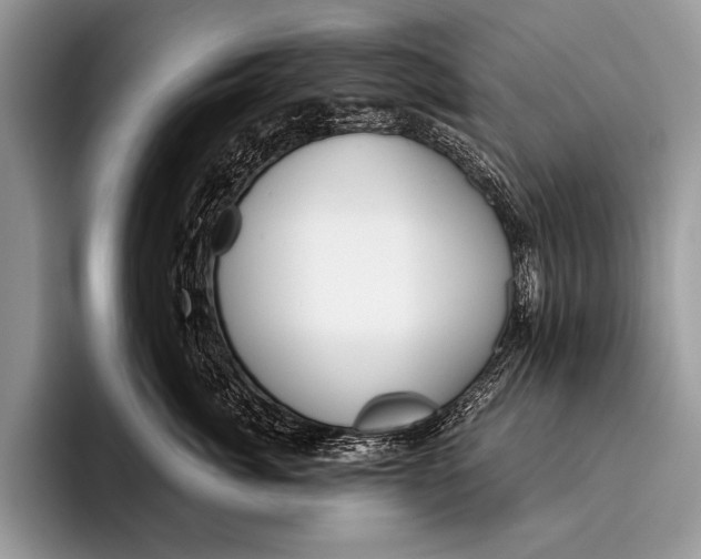 X0000096200764200802081540