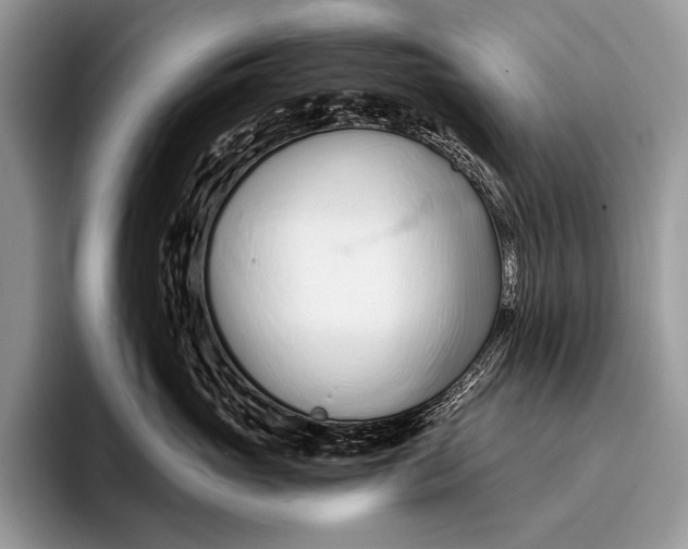 X0000096200765200802081540