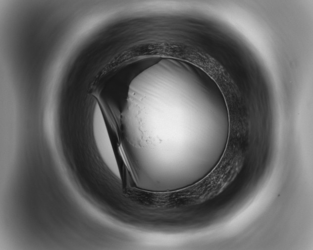 X0000096200766200802081540