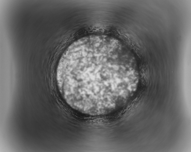 X0000096200769200802081539