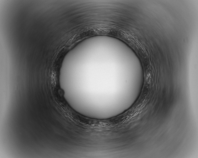 X0000096200772200802081539