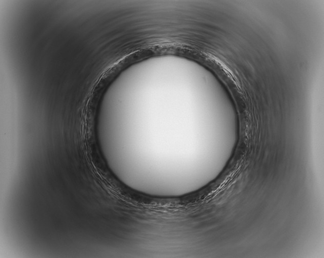 X0000096200775200802081539