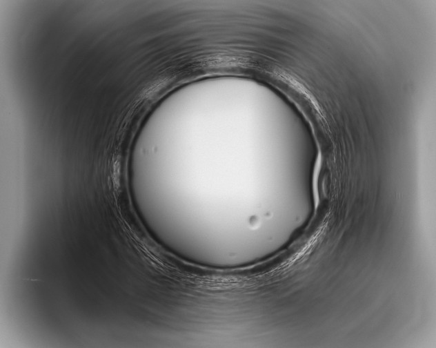 X0000096200777200802081539