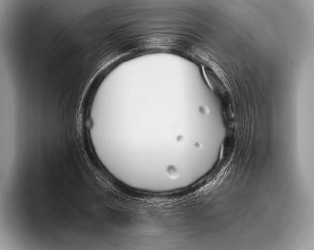 X0000096200779200802081539