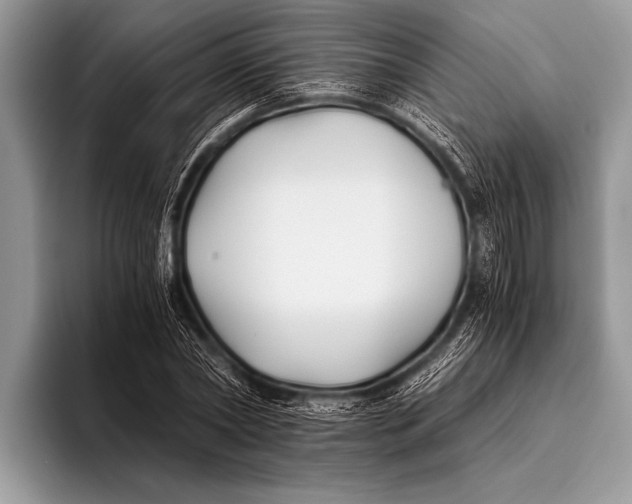 X0000096200782200802081539