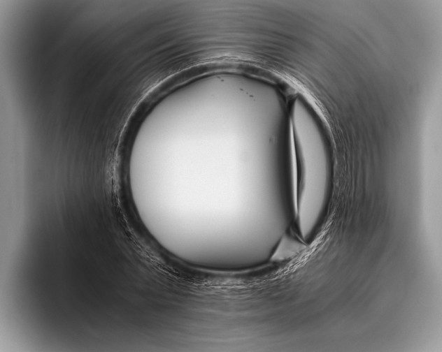 X0000096200783200802081539