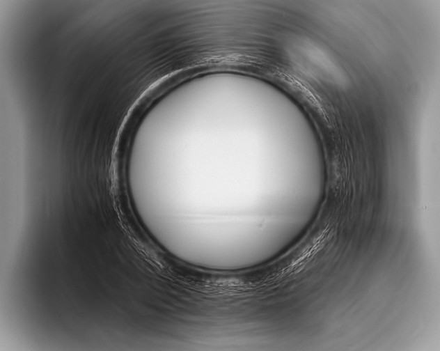 X0000096200784200802081539