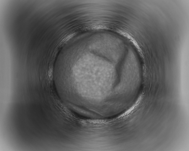 X0000096200785200802081539