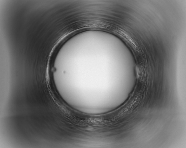 X0000096200788200802081539