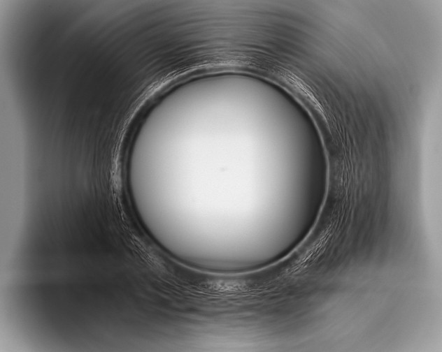 X0000096200789200802081539