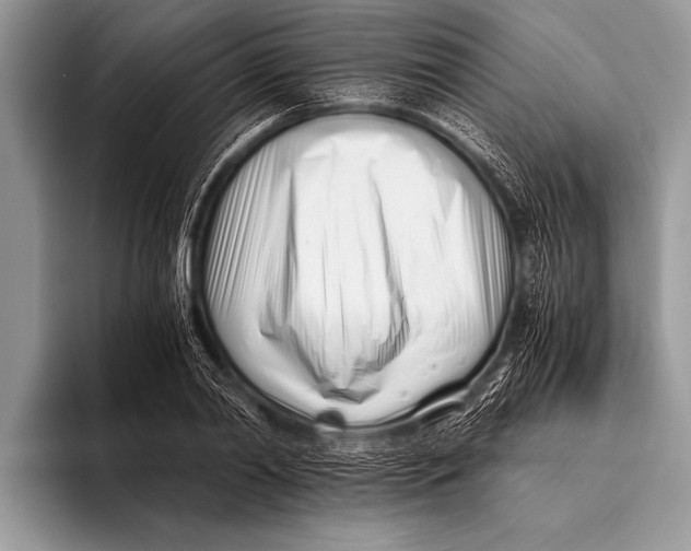 X0000096200790200802081539