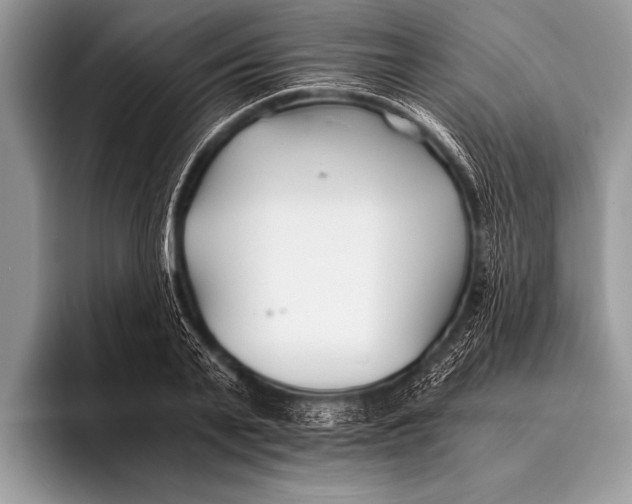 X0000096200791200802081539