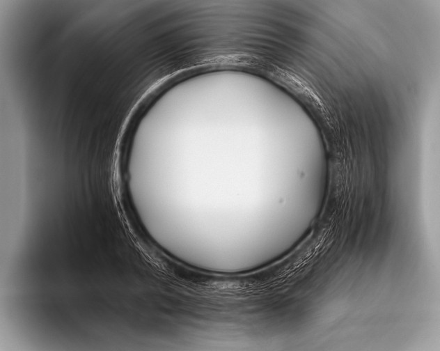 X0000096200792200802081539